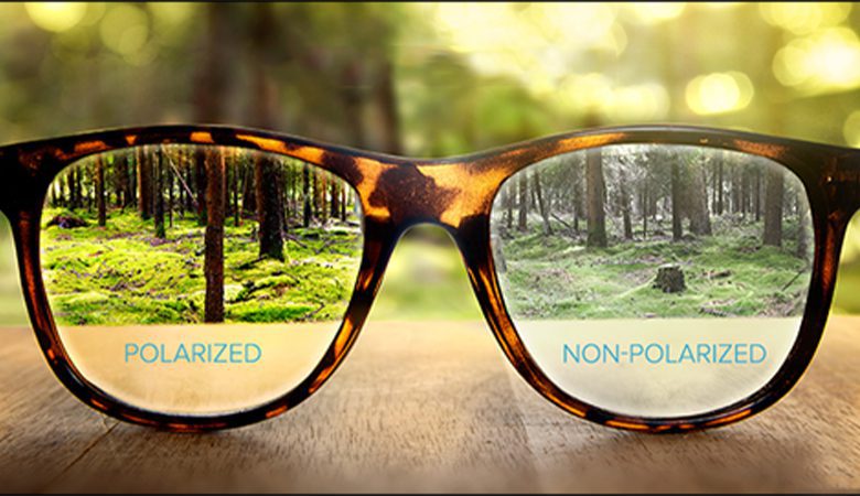 عدسی پلاریزه