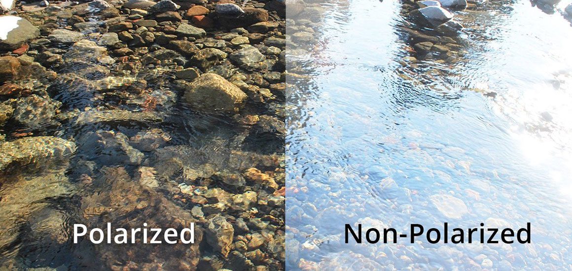 عدسی پلاریزه