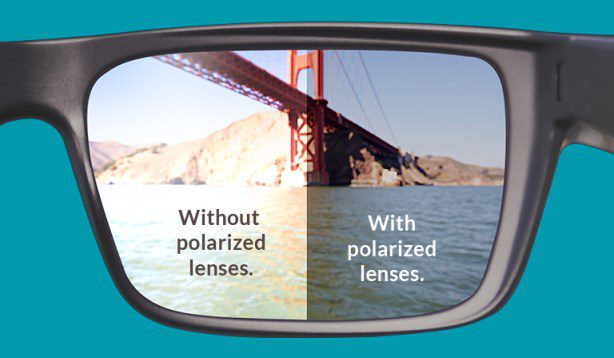 عدسی پلاریزه